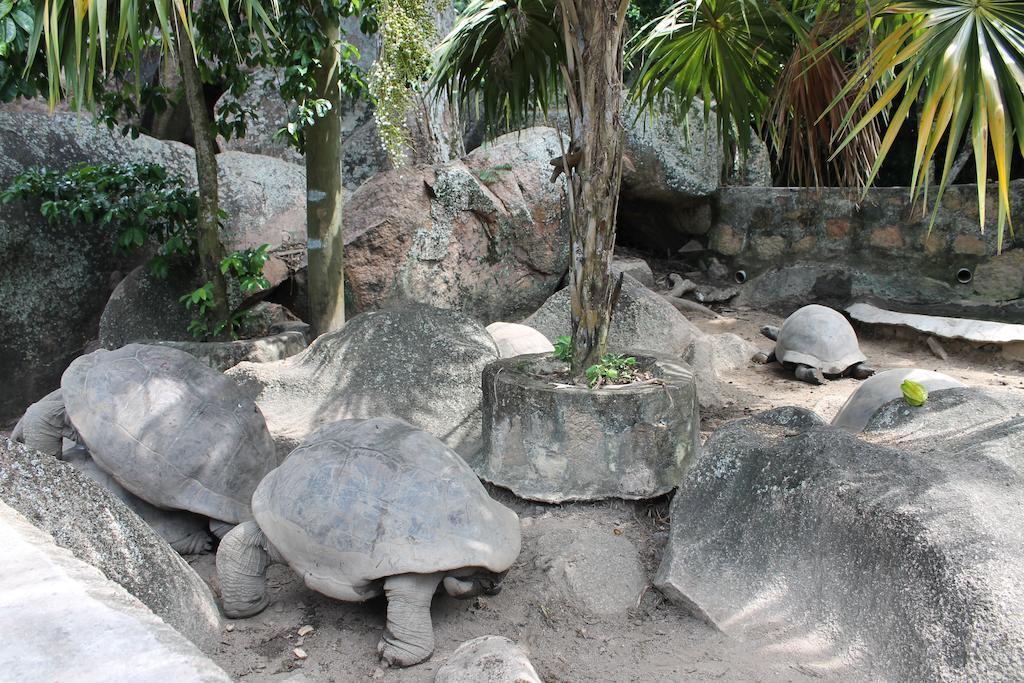 Hotel Chateau St Cloud Insel Insel La Digue Exterior foto